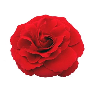12cm紅色植絨玫瑰花